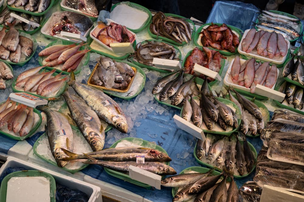 Trays of whole fish, squid and shellfish laid out on a market stall