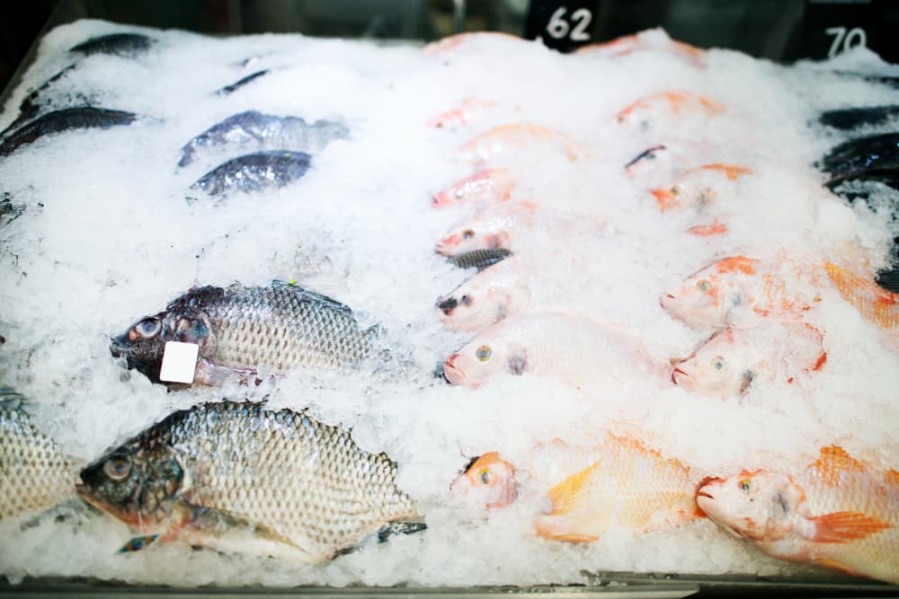 Whole fresh fish laid on crushed ice at a market, with numbered tags